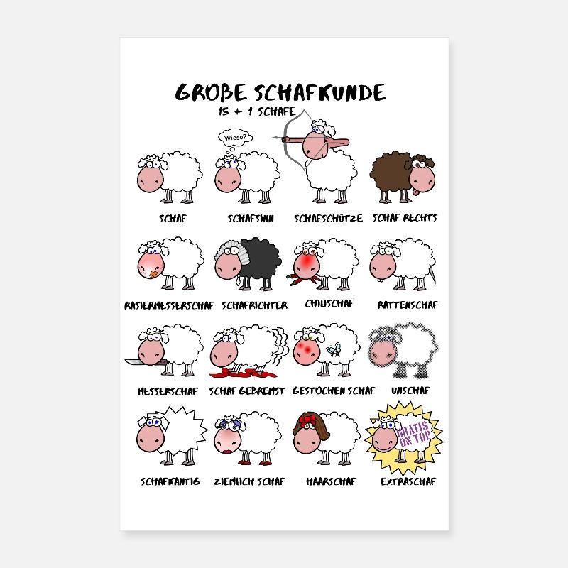 Excellente connaissance des moutons Poster 40 x 60 cm