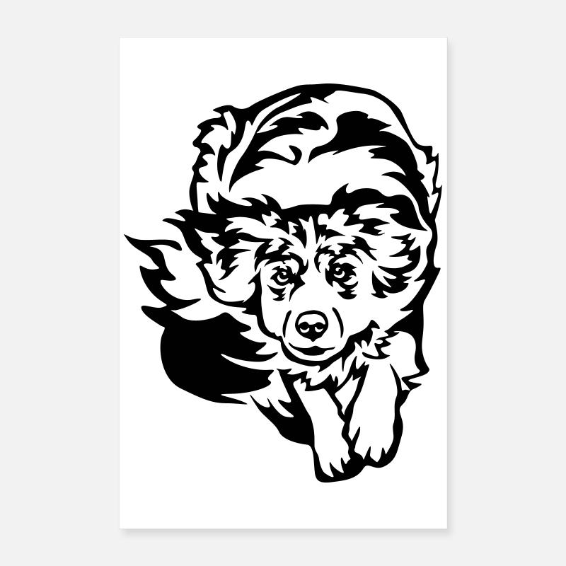 Australian Shepherd Poster 40x60 cm