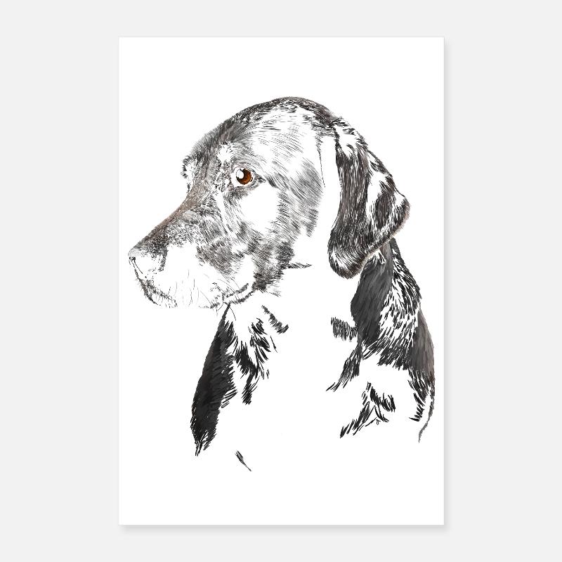 Labrador Poster 40 x 60 cm