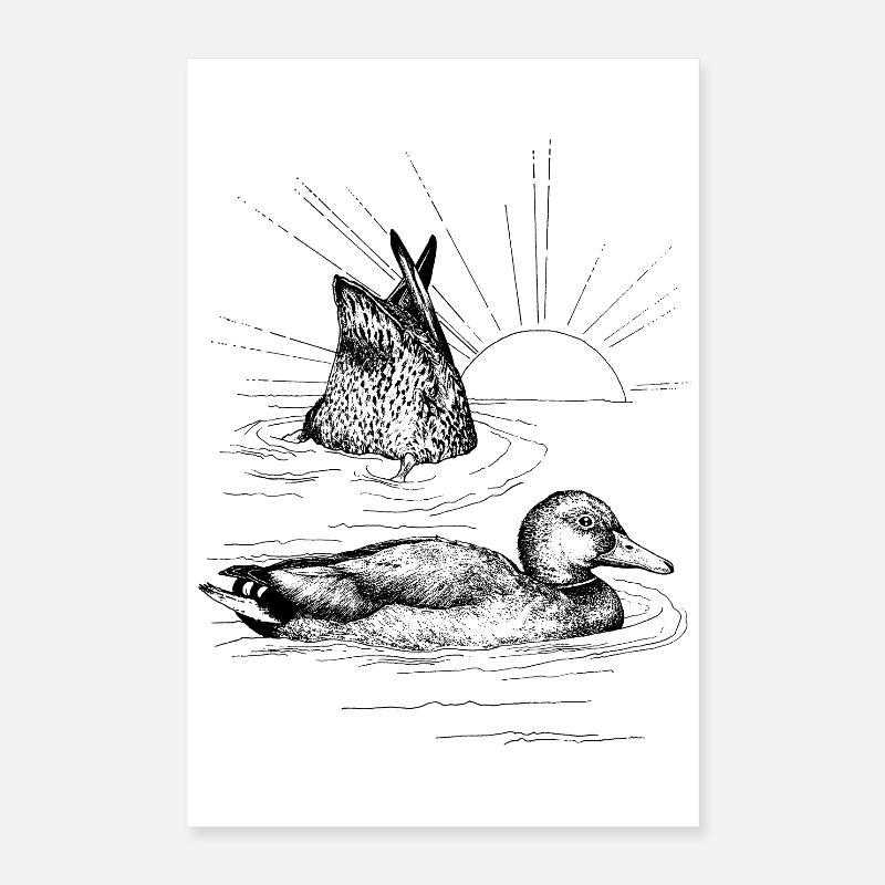 MALLARDS  Poster 16" x 24" (40x60 cm)