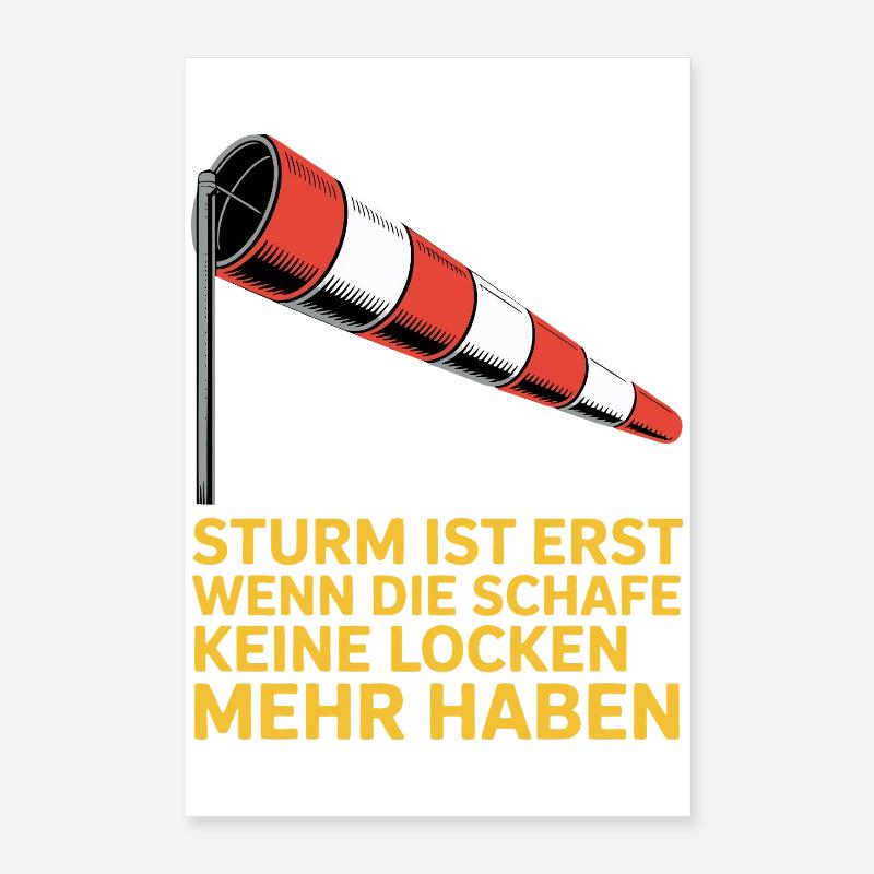 Storm text with windsock Poster 16" x 24" (40x60 cm)