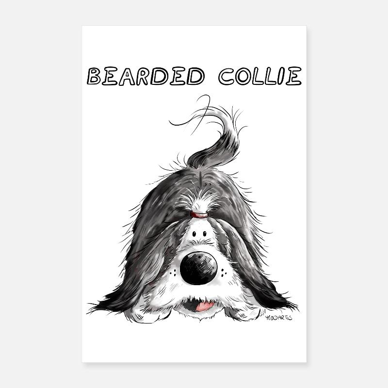 Verspielter Bearded Collie Poster 40x60 cm