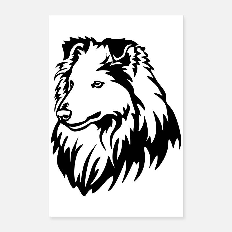 Sheltie Kopf Poster 40x60 cm