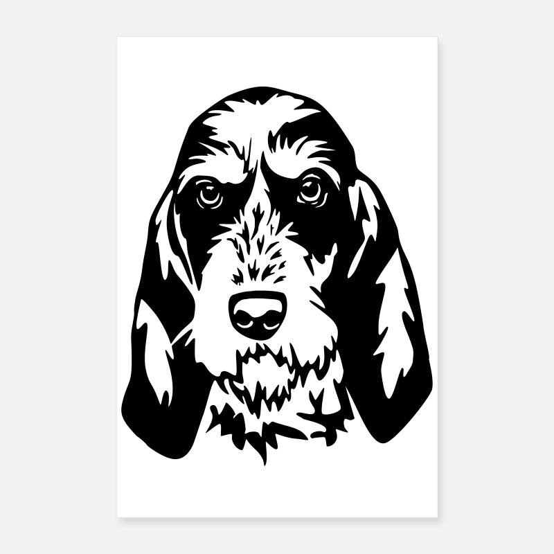 Griffon Bleu de Gascogne Kopf Poster 40x60 cm