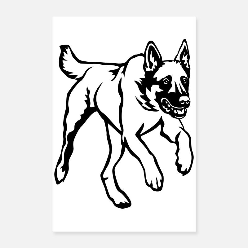 Malinois Poster 40x60 cm