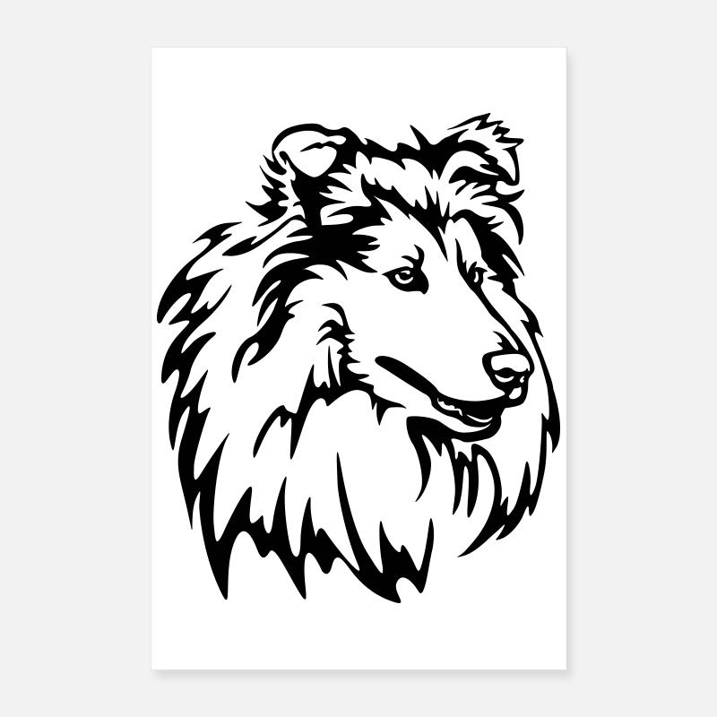 Collie Pää Juliste 40x60 cm