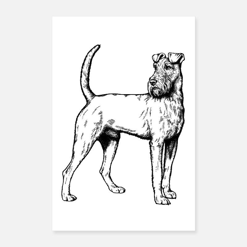 Irish Terrier Mailo 2023 sw Poster 40x60 cm