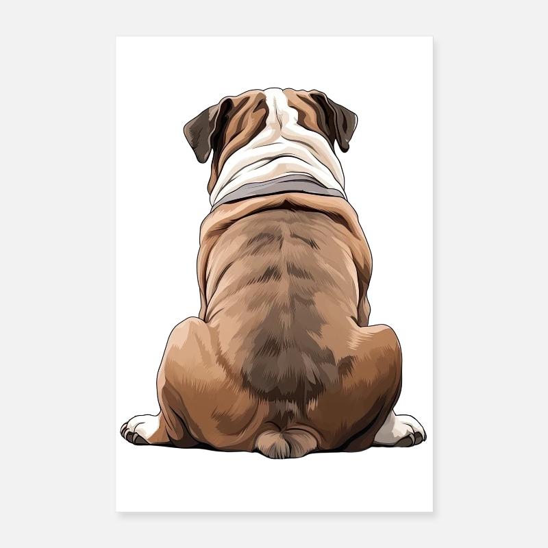 Bulldogge Poster 40x60 cm