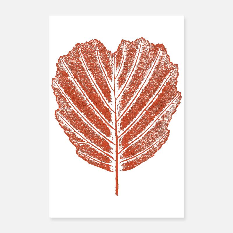 Feuille d’aulne - Botanique Poster 40 x 60 cm