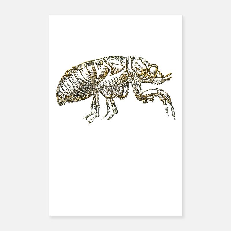 La puce Poster 40 x 60 cm