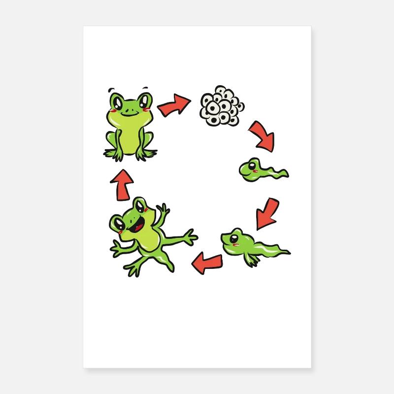Science biology frog Poster 16" x 24" (40x60 cm)