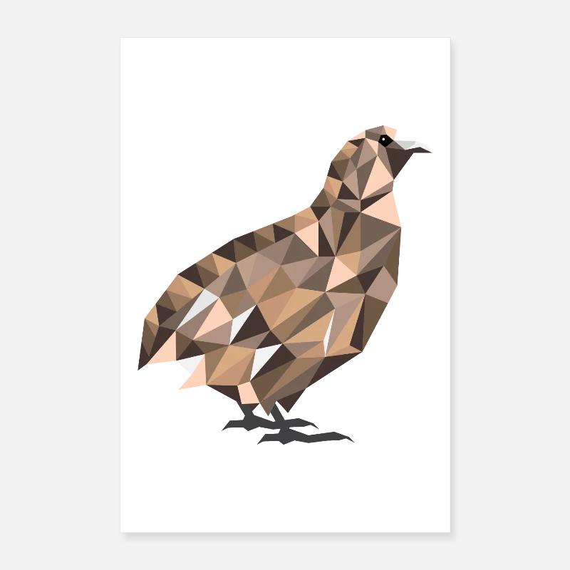 Polygone cailles cailles cailles cailles cadeau Poster 40 x 60 cm