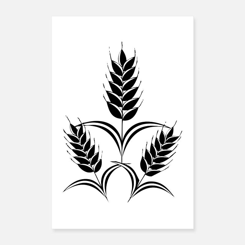 3 épis de maïs Poster 40 x 60 cm
