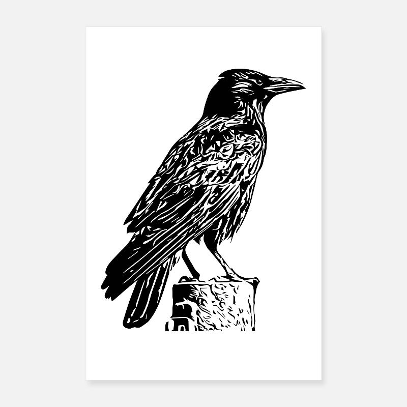 schwarzer Rabe Poster 40x60 cm
