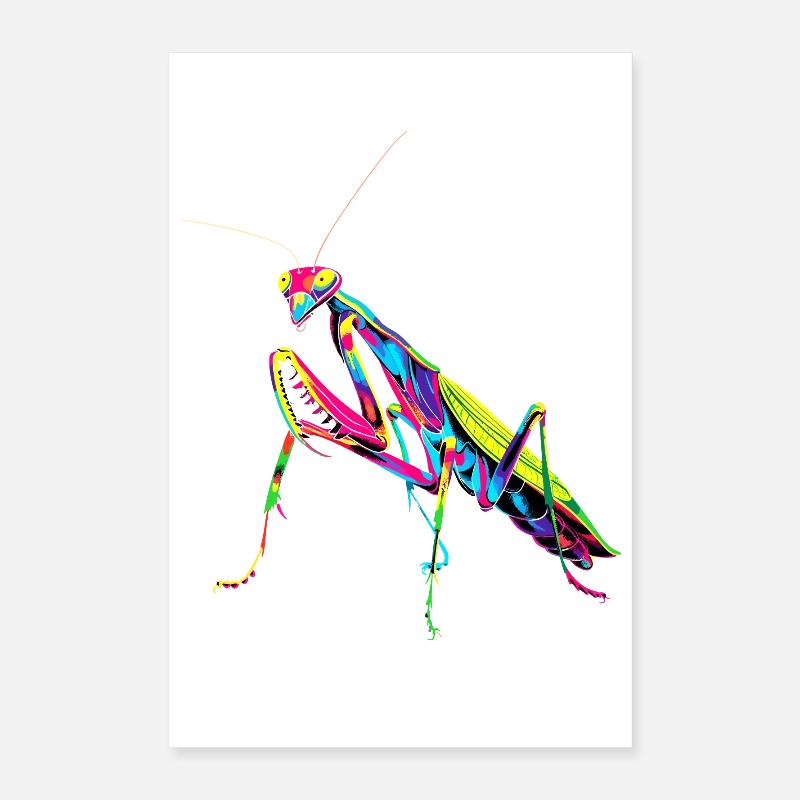 Praying Mantis Praying Mantis Love Mantis Poster 16" x 24" (40x60 cm)