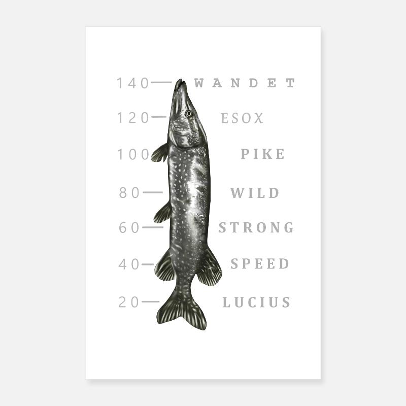 Großer Hecht Poster 40x60 cm
