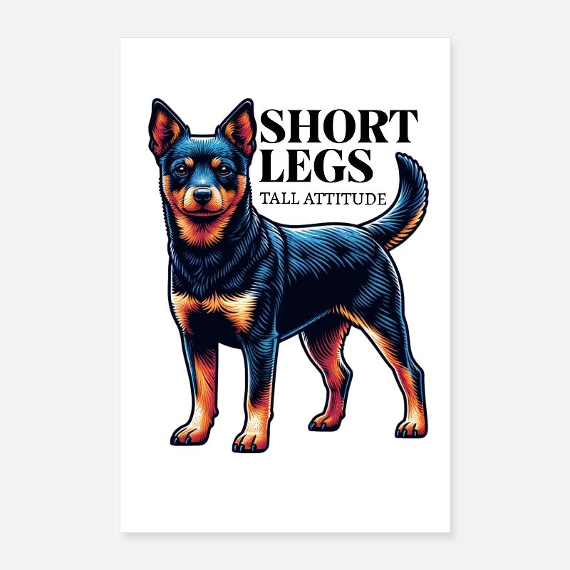 Lancashire talon jambes courtes dire idée cadeau Poster 40 x 60 cm