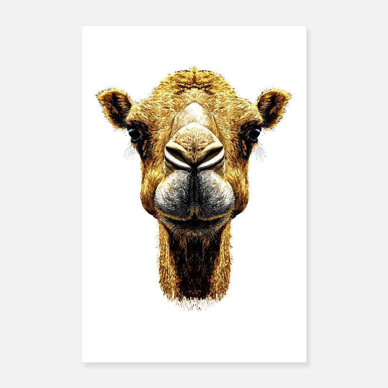 Kamel Dromedar Trampeltier Camel Geschenk Kamele Poster 40x60 cm