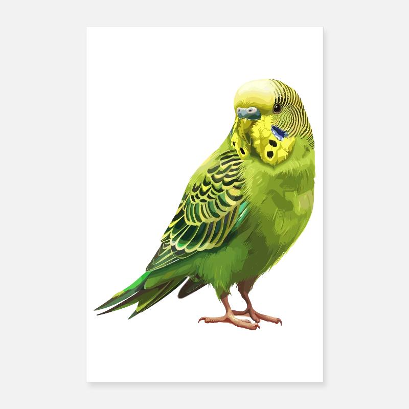 Conception de perruche Joie de vivre Poster 40 x 60 cm