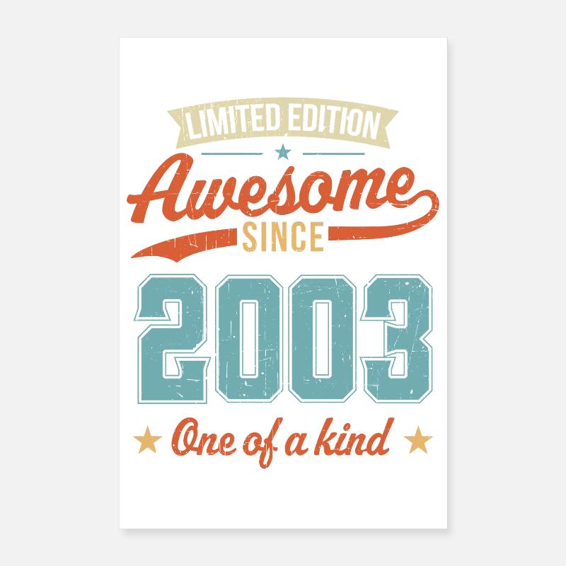Genial seit 2003 Poster 40x60 cm
