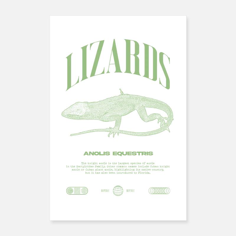 Kubanischer Ritter Anole Reptilienhalter Eidechse Poster 40x60 cm