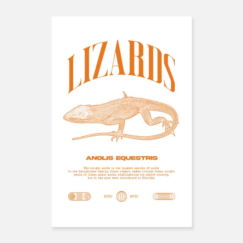 Cuban Knight Anole Reptile Keeper Lizard Poster 16" x 24" (40x60 cm)