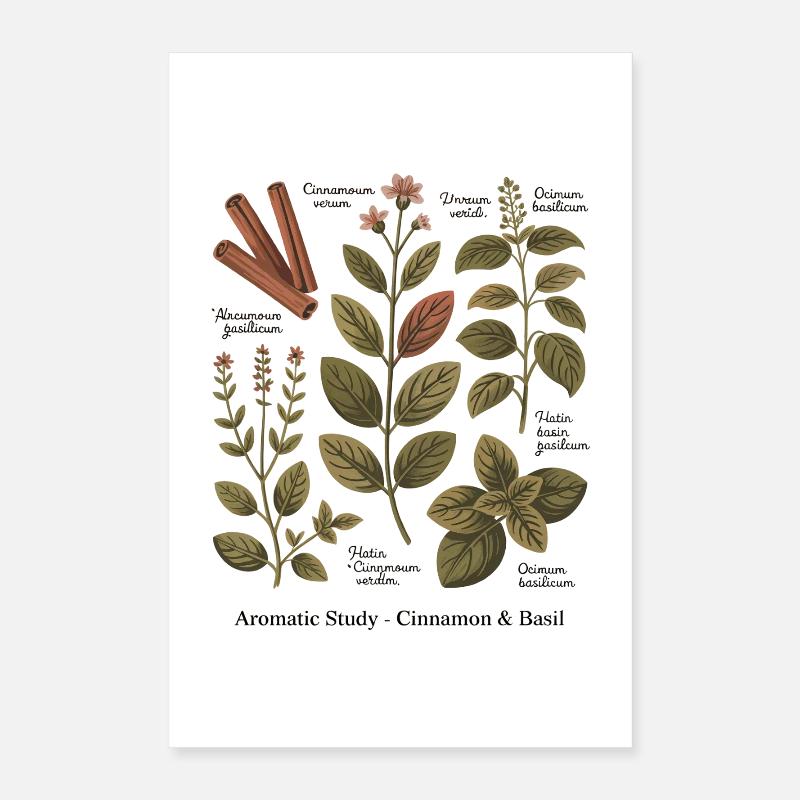 Aromatic Study – Zimt & Basilikum Poster 40x60 cm