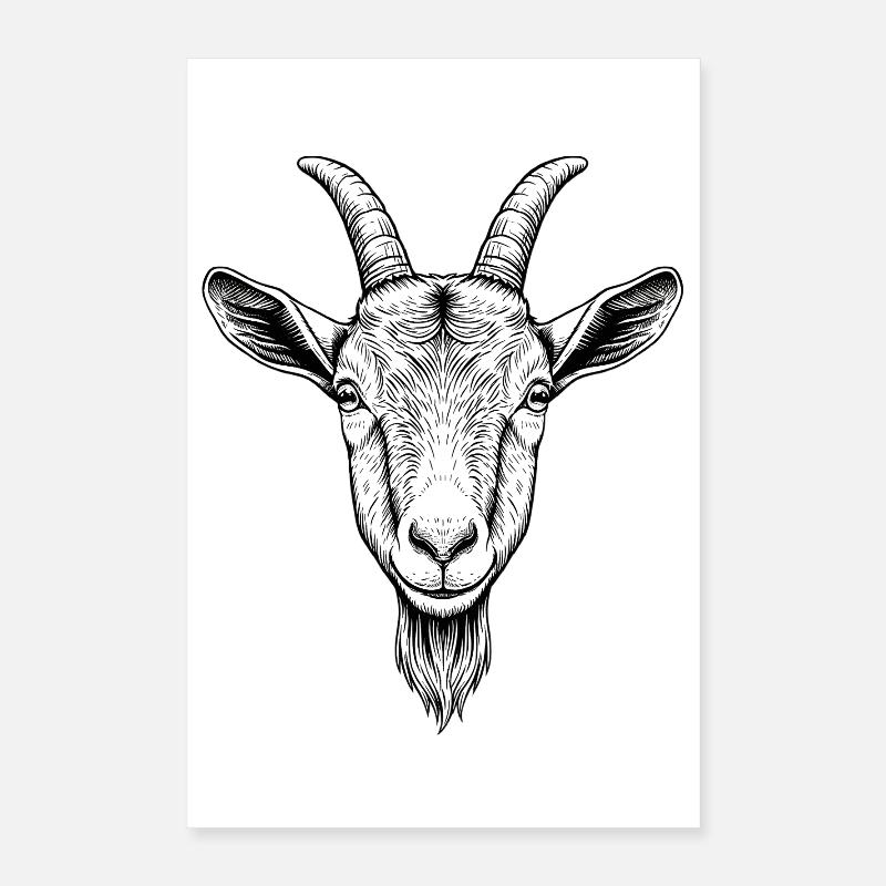 Goat Poster 16" x 24" (40x60 cm)