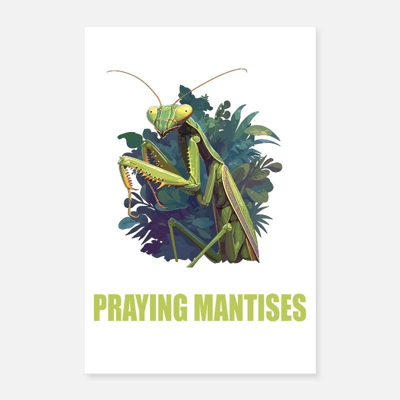 Gottesanbeterinnen Gottesanbeterin Poster 40x60 cm