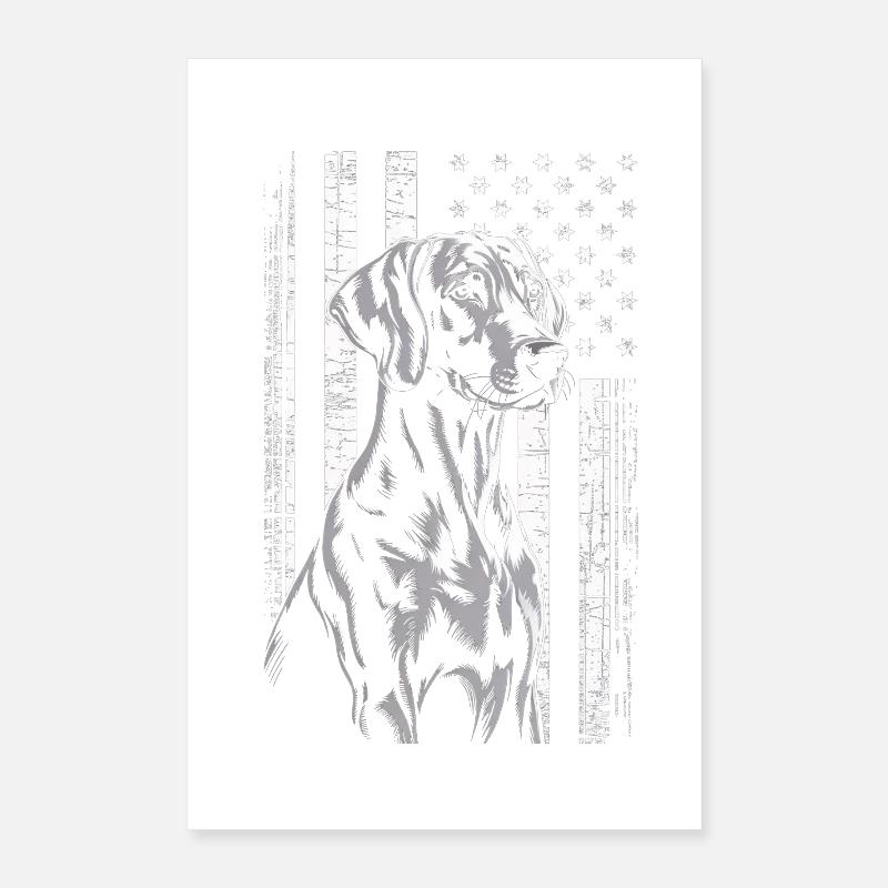 Chien gris avec rayures étoilées Poster 40 x 60 cm