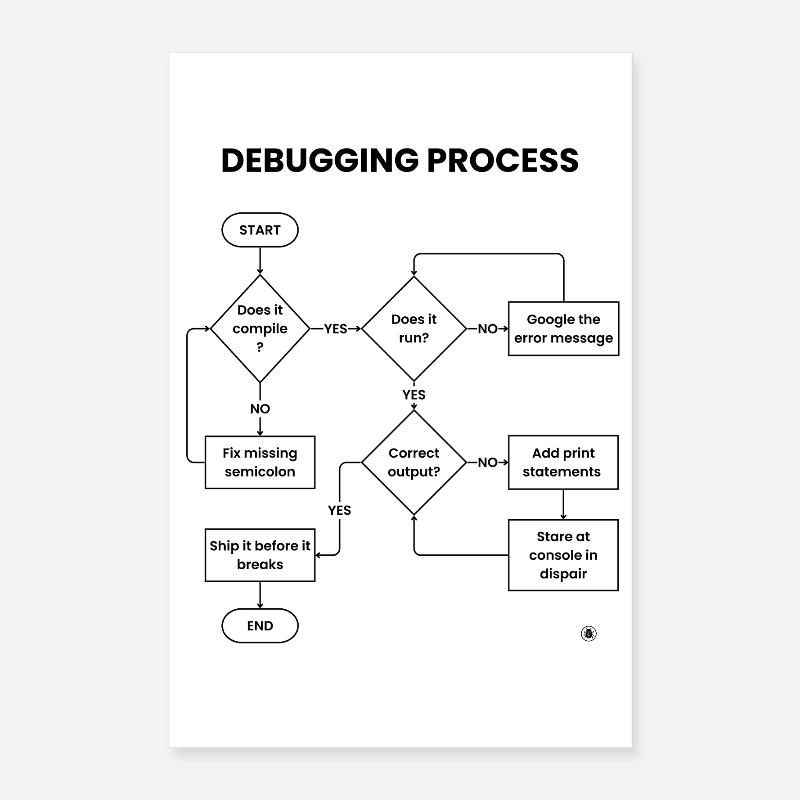Processus de débogage - L’expédier avant de casser le cadeau Poster 40 x 60 cm