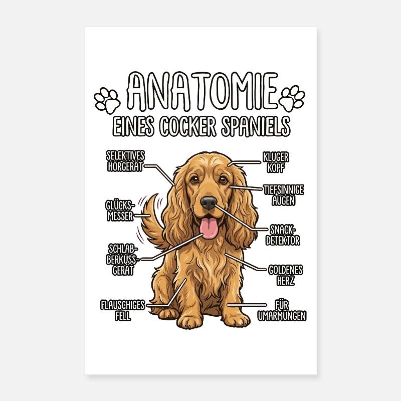 Cocker Spaniel: Die wahre Anatomie Poster 40x60 cm