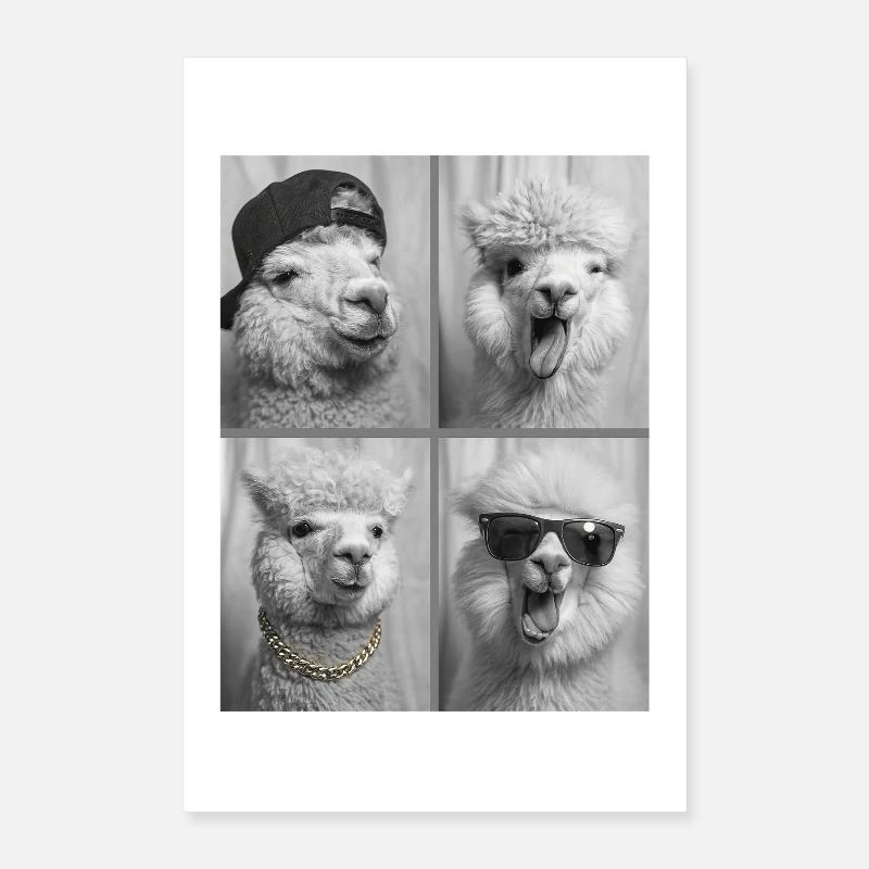 Alpaka Poster 40x60 cm