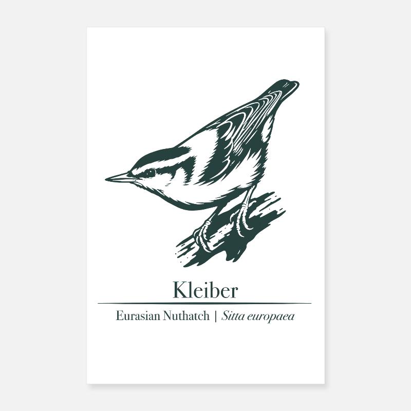 Nuthatch Silhouette | Ornithology | Drawing Poster 16" x 24" (40x60 cm)