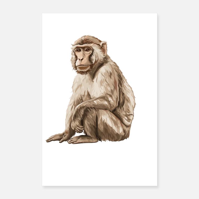 Macaque Macaque Poster 16" x 24" (40x60 cm)