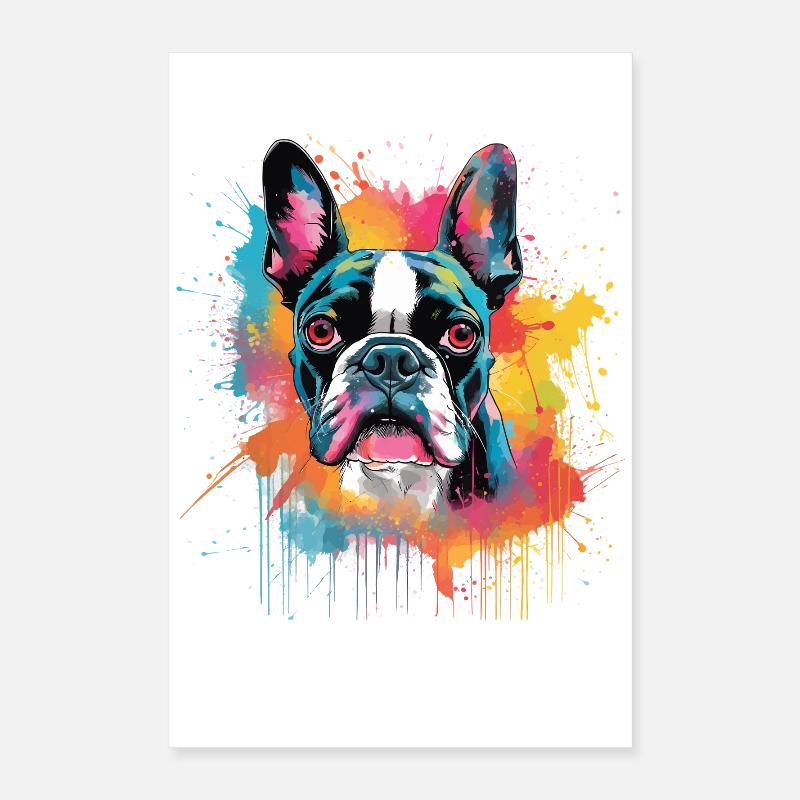 Art éclaboussuré de chien Boston Terrier Coloré Poster 40 x 60 cm