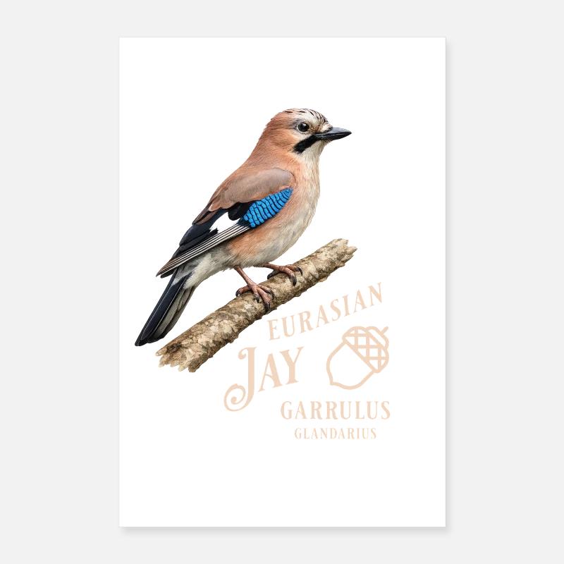 Eurasian Jay Eichelhäher Vogel Design Poster 40x60 cm