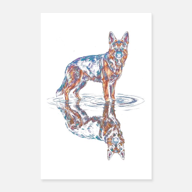 Deutscher Schäferhund mit Wasserreflexion Poster 40x60 cm