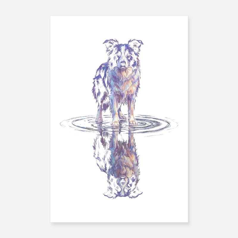 Border Collie Water Reflection Poster 16" x 24" (40x60 cm)