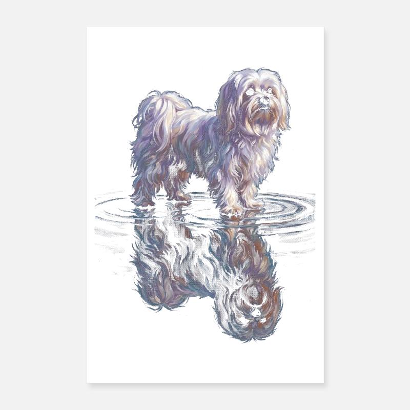 Maltais avec réflexion de l’eau Poster 40 x 60 cm