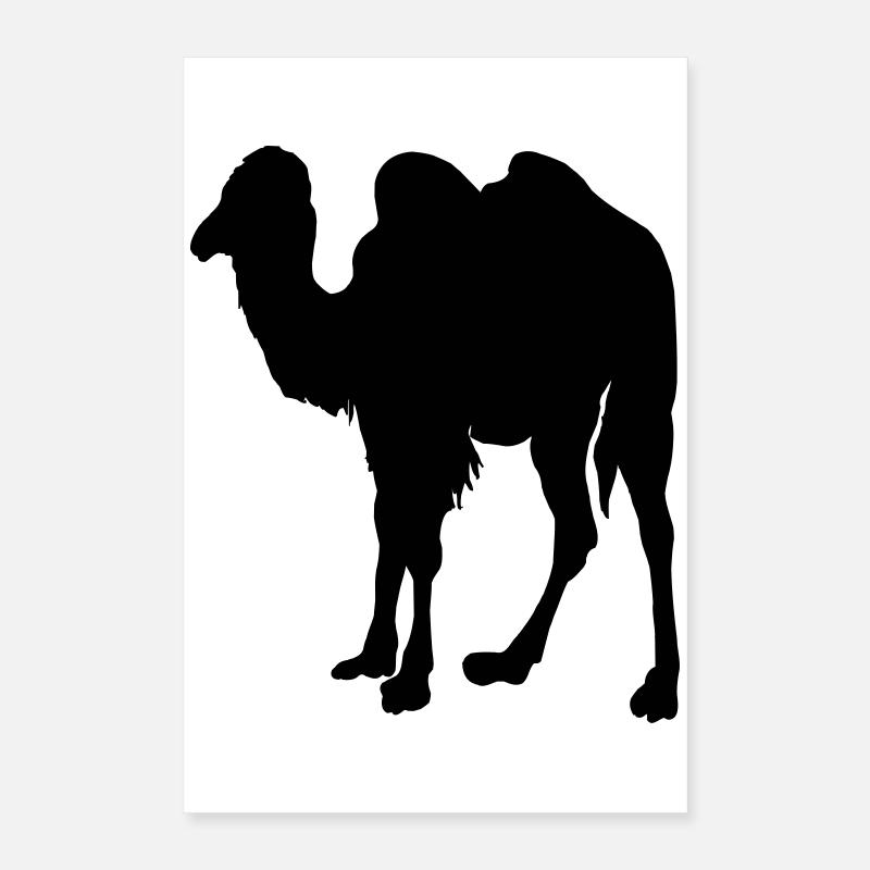 Kamel, Kamel Poster 40x60 cm