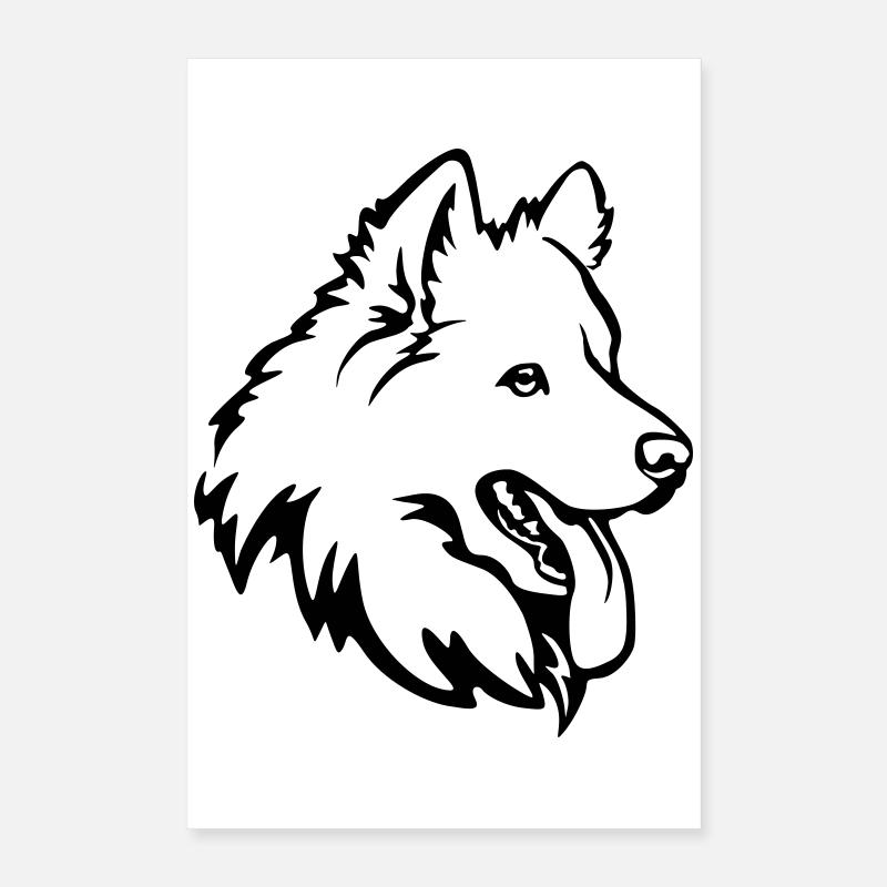 Samojede Kopf Poster 40x60 cm