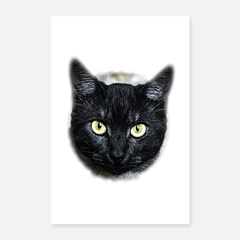 black cat schwarze Katze Poster 40x60 cm
