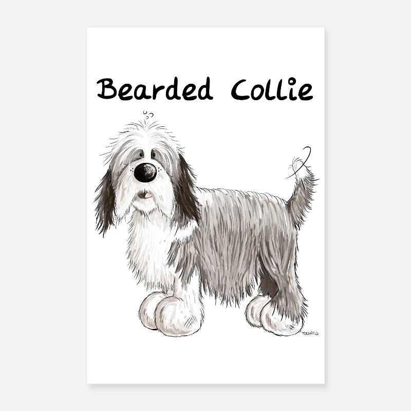 Lustiger Bearded Collie Poster 40x60 cm