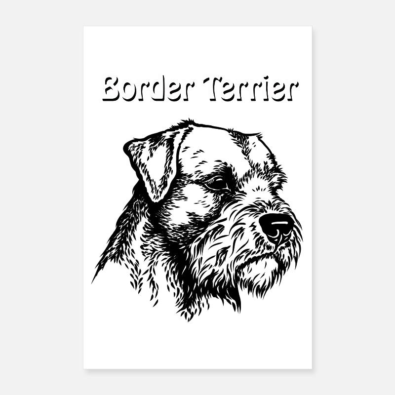 Portrait de Border Terrier #2 Poster 40 x 60 cm