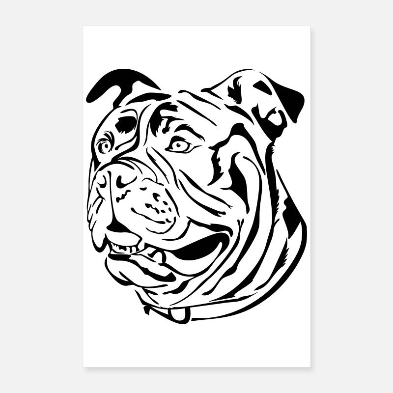 Vieux bouledogue anglais Poster 40 x 60 cm