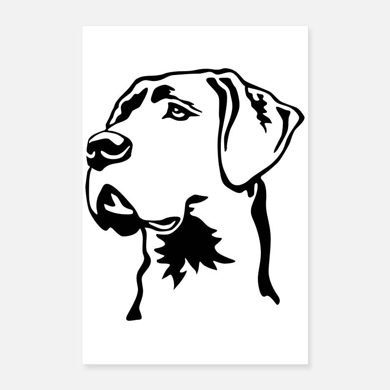 Tête de Dogue Allemand Poster 40 x 60 cm