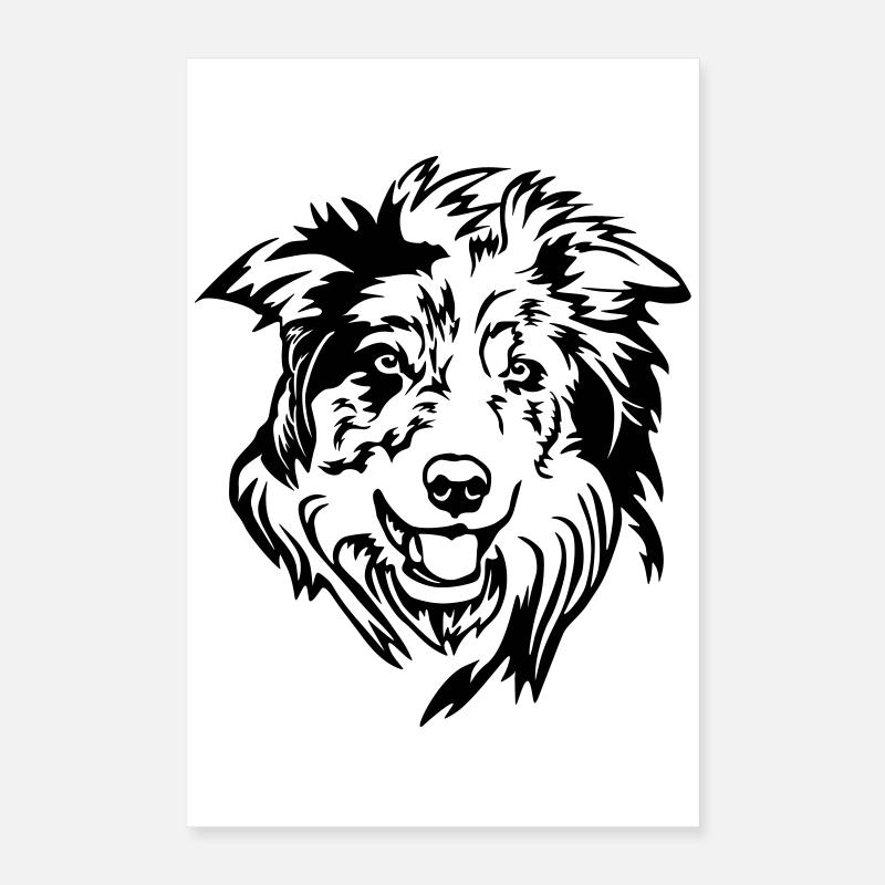Border Collie Kopf Poster 40x60 cm
