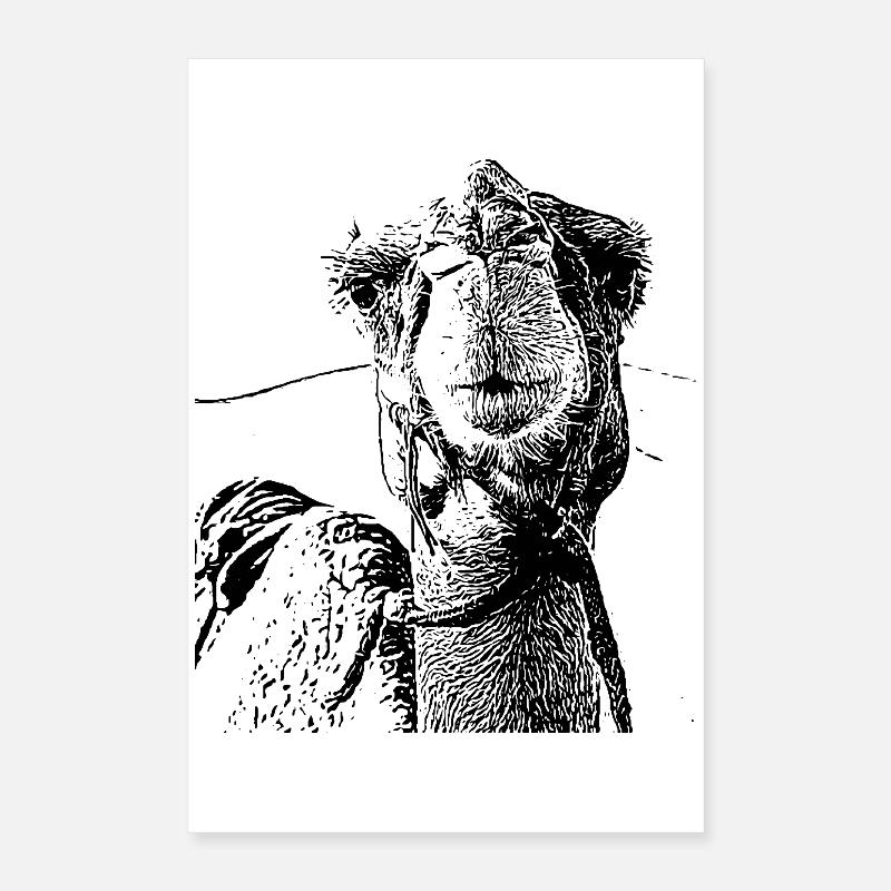 Camel Poster 16" x 24" (40x60 cm)