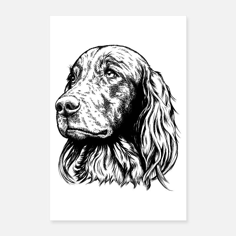 Irish Setter Portrait Poster 40x60 cm